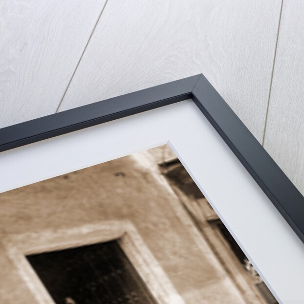 Un Mulo de la Habana by William Henry Jackson