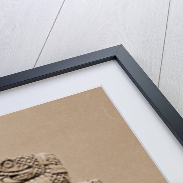 Mexico by William Henry Jackson