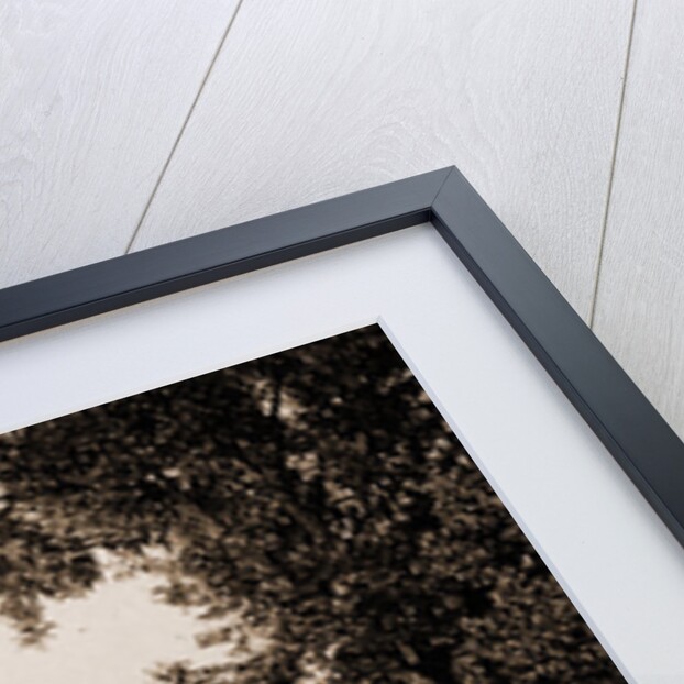 The Pool, Aguas Calientes by William Henry Jackson