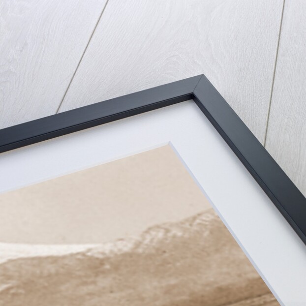 Mexico, Popocatapetl sic from Amecameca by William Henry Jackson