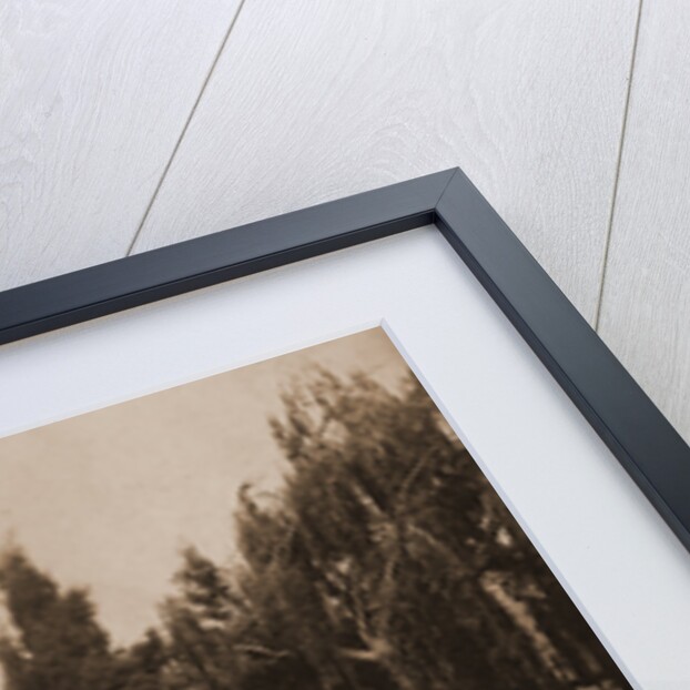 Mission of Santa Barbara, the cemetery by Anonymous