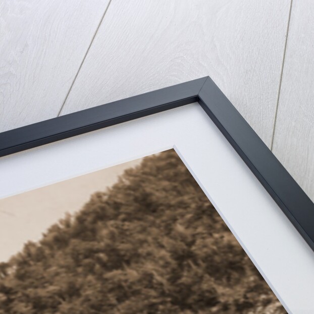 Delaware Water Gap, Pennsylvania by Anonymous