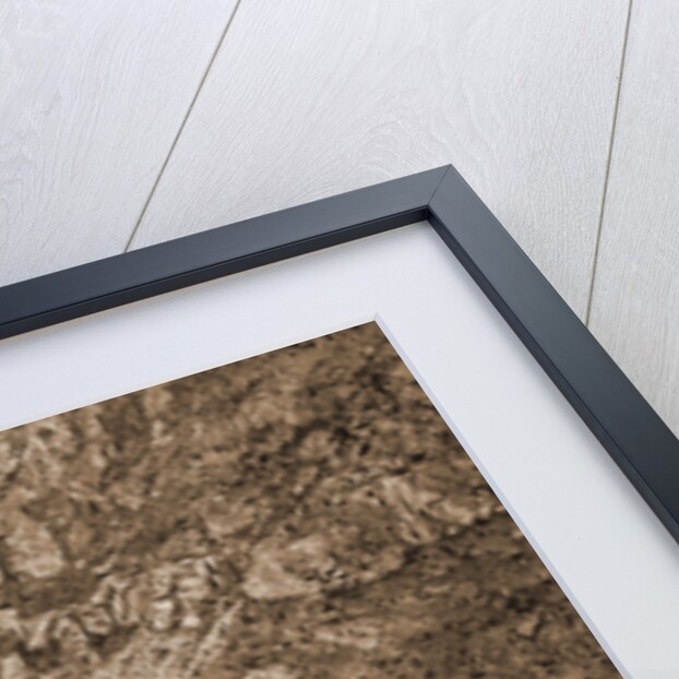 The far-famed Georgetown loop by William Henry Jackson