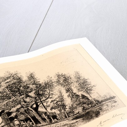 Acacias, 19th century by Maxime Lalanne