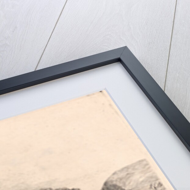 Le Paysage à la Mare by Alphonse Legros