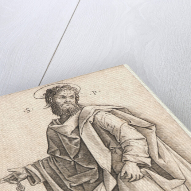 Saint Peter by Giovanni Antonio da Brescia