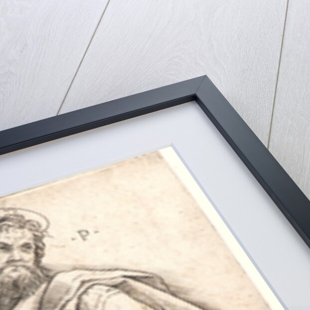 Saint Peter by Giovanni Antonio da Brescia