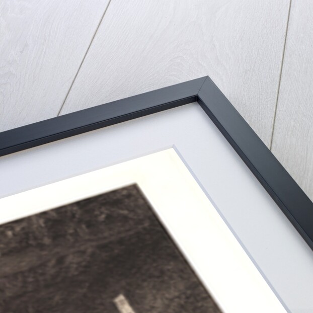 The Large Sheepfold (La Grande Bergerie), 1859 by Charles Émile Jacque