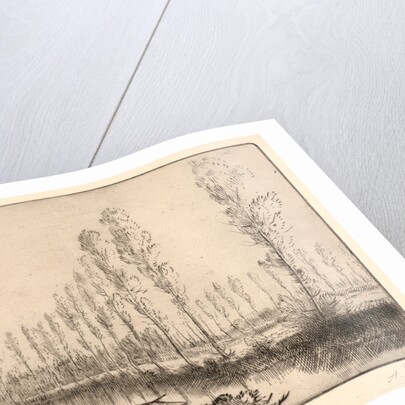 Près d'Amiens: Les Tourbières by Alphonse Legros