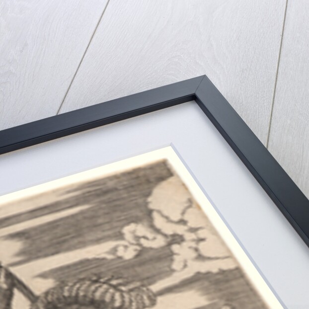 Standard Bearer, 16th century by Marcantonio Raimondi