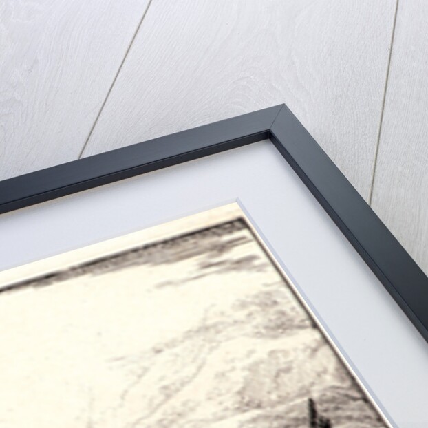 The Group of Trees (Le Bouquet d'Arbres), 1640 by Laurent de La Hyre