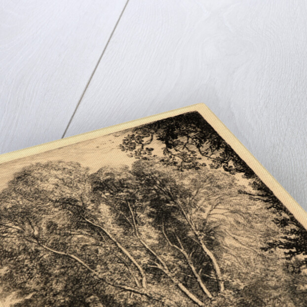 Le Bout Genêt, Crèvecoeur, 1913 by Auguste Louis Lepère