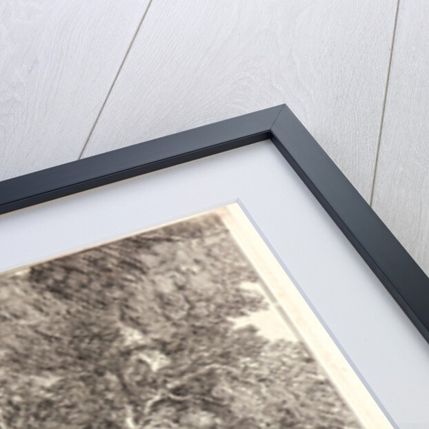 The Episode of the Falling Idol, 1750-1753 by Giovanni Domenico Tiepolo