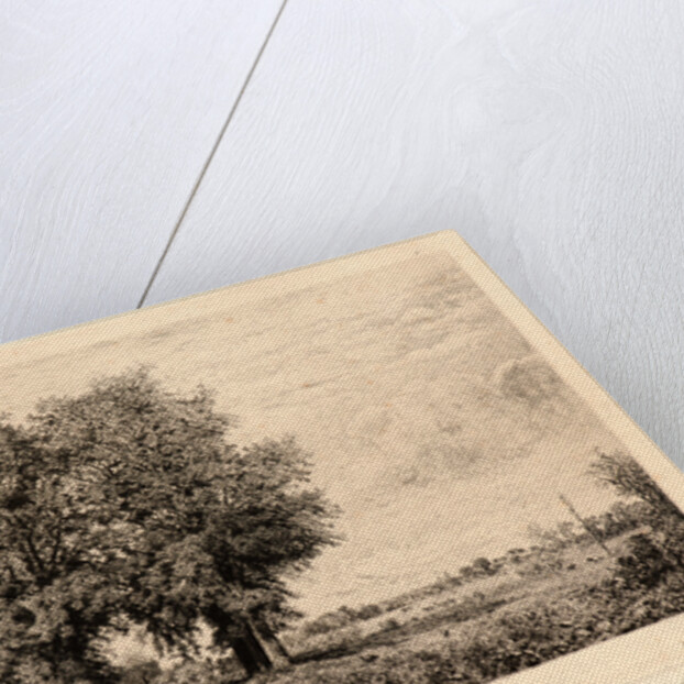 The Elms of Cenon (Les Ormeaux de Cénon), 19th century by Maxime Lalanne