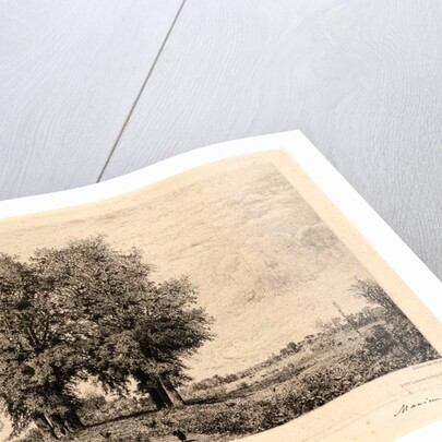 The Elms of Cenon (Les Ormeaux de Cénon), 19th century by Maxime Lalanne