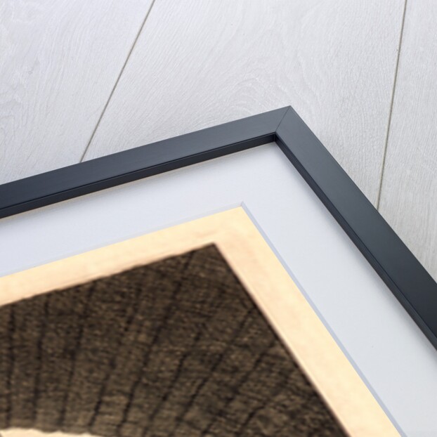 Le Pont Neuf, 1881 by Edmond Gosselin