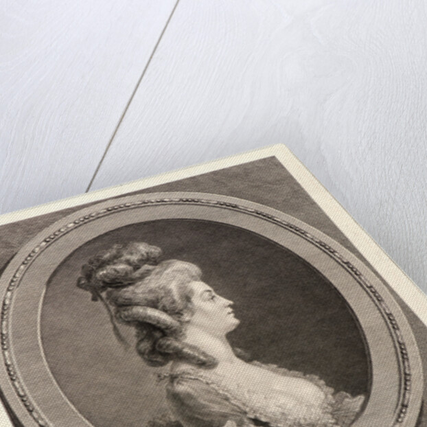 Portrait of Louise-Emilie, Baronne de --- (Mme de Mézières de Crest, Marquise de Saint-Aubin, baronne d'Andlau), 1779 by Augustin de Saint-Aubin