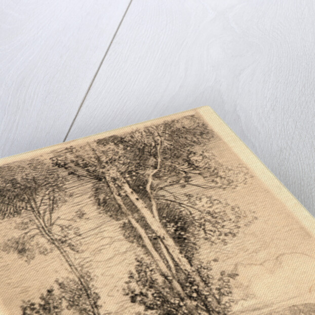 La Petite Mare, 1908 by Auguste Louis Lepère