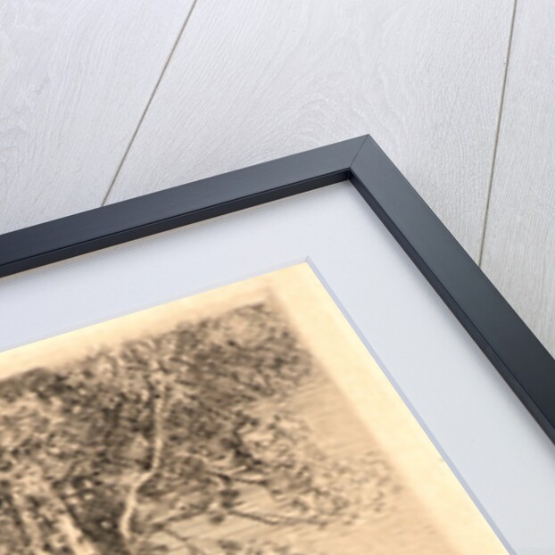 La Petite Mare, 1908 by Auguste Louis Lepère