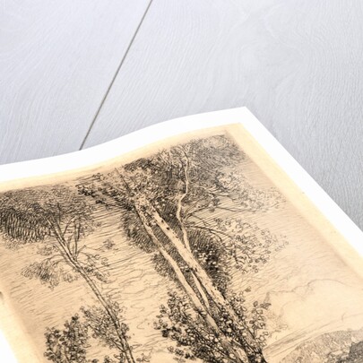 La Petite Mare, 1908 by Auguste Louis Lepère