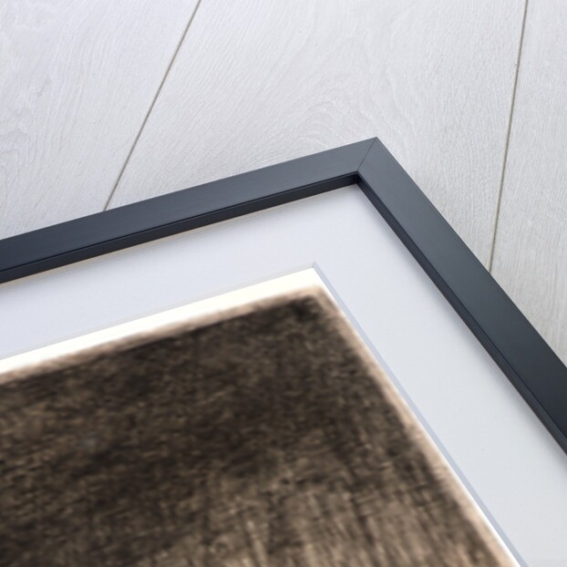 L'Eclair, 1868 by Victor Hugo