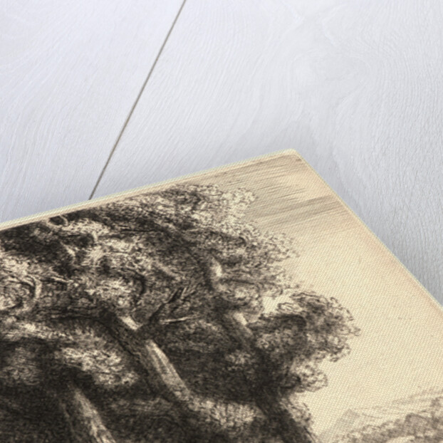 The Edge of the Woods (La Liseuse: La Lecture sous les Arbres) by Alphonse Legros