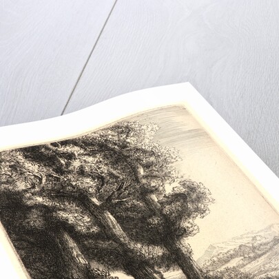 The Edge of the Woods (La Liseuse: La Lecture sous les Arbres) by Alphonse Legros