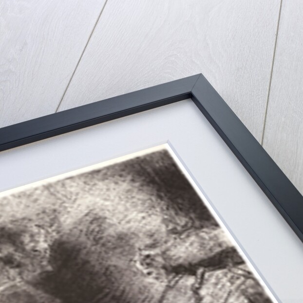 And there fell a great star from heaven, burning as it were a lamp, 1899 by Odilon Redon