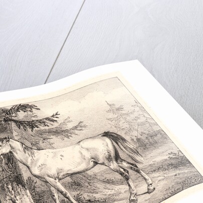 Cossack and Horse beside a Tree, 19th century by Horace Vernet