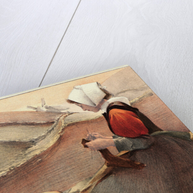 Fleur de Lande, 1897 by Jacques Wely