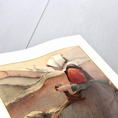 Fleur de Lande, 1897 by Jacques Wely