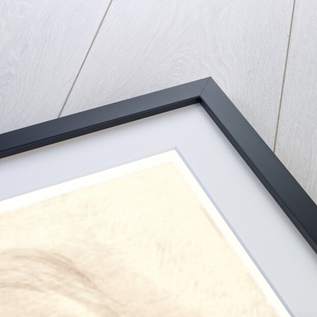 Closed Eyes (Yeux clos), 1890 by Odilon Redon