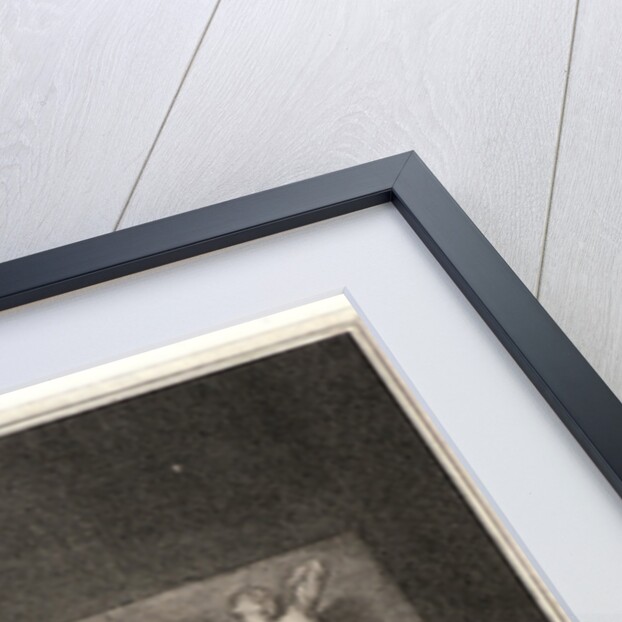 A Student Drawing (Le Dessinateur), 1757 by Jean-Jacques Flipart