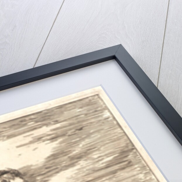 Saint Anthony of Padua, 17th century by Anonymous