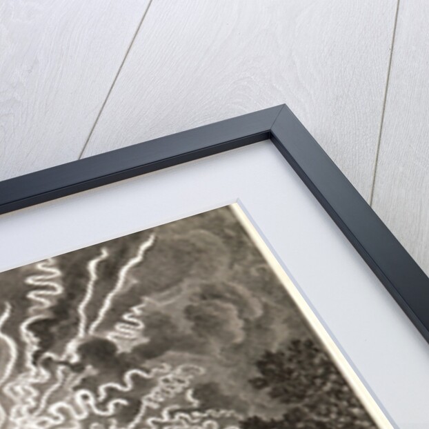 Cinquieme Journee from Divertissements donnes par le Roi, 1676 by Jean Le Pautre