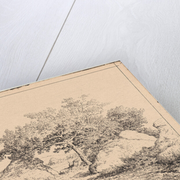 Le Cerisier de la Plante a Biau, 19th century by Théodore Rousseau