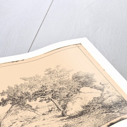 Le Cerisier de la Plante a Biau, 19th century by Théodore Rousseau