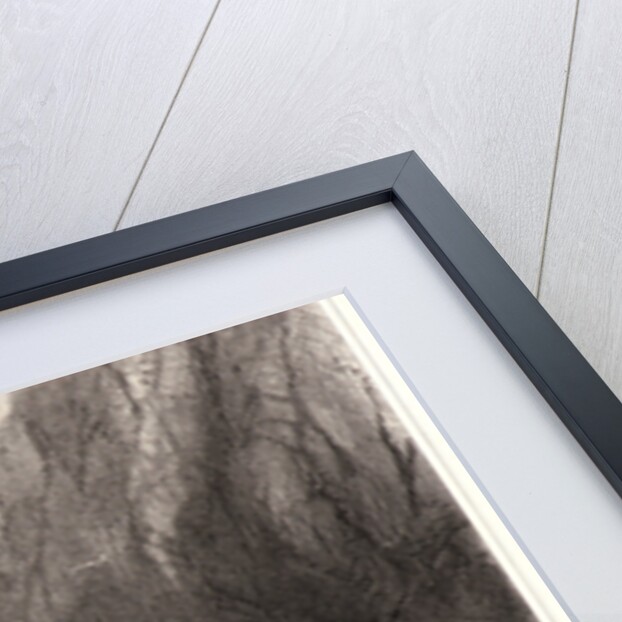 Stranded Brig, 19th century by Eugène Isabey