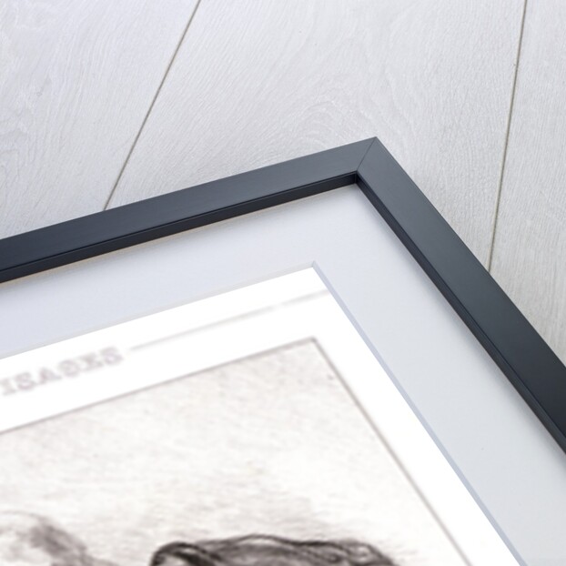 And here is the enormous secret that my husband has been hiding from me for a month. And you knew about it?... For six weeks by Paul Gavarni