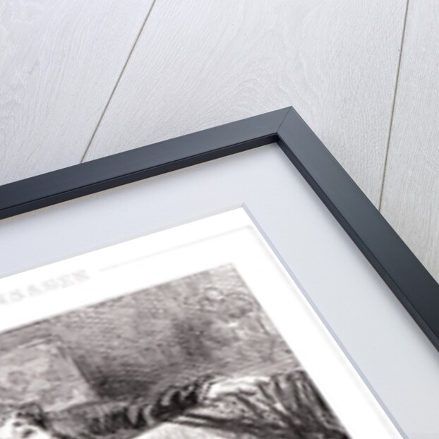 Not love me any more! ...but, Pamela, that would be a luxury beyond your means by Paul Gavarni