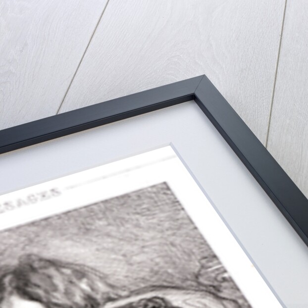 Bird of Passage by Paul Gavarni