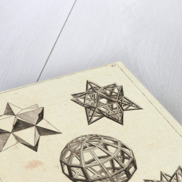 Plate Y, ca. 1596; published 1625 by Lorenzo Sirigatti