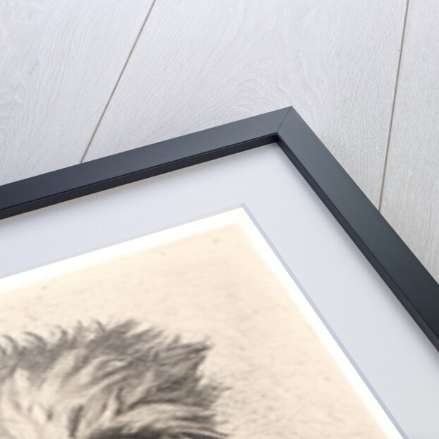 Pour les Pauvres, 1863 by Ludovic Lepic