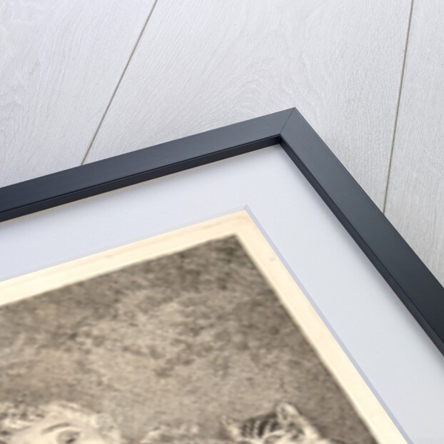 The Sick Cat (Le Chat Malade}, 1731 by Jean-Étienne Liotard