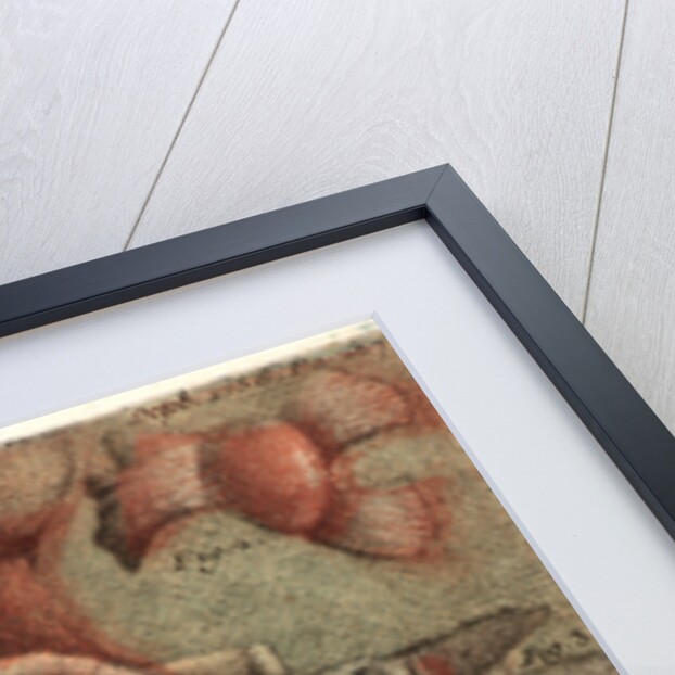 Dissection of a Lizard, Plate 15, 1756 by Jean-Baptiste André Gautier-Dagoty