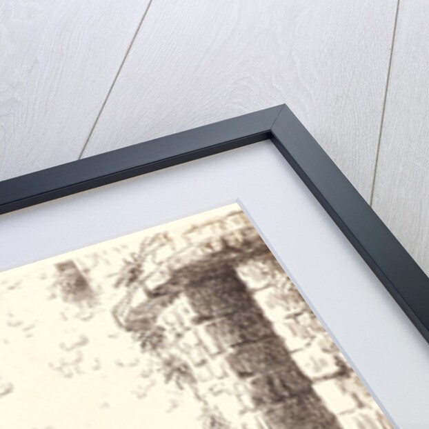 Woman Emptying a Pail (Femme vidant un seau), 1862 by Jean-François Millet