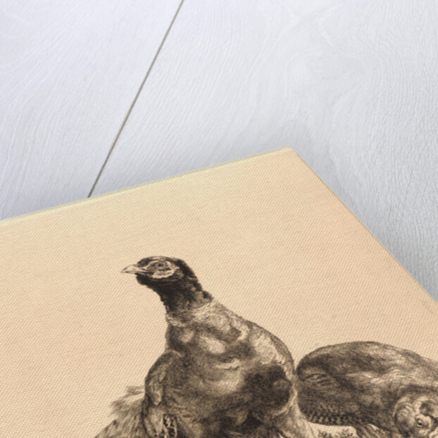 Pheasants, Rooster, and Hen (Faisons, Coq, et Poule), 1898 by Félix Bracquemond