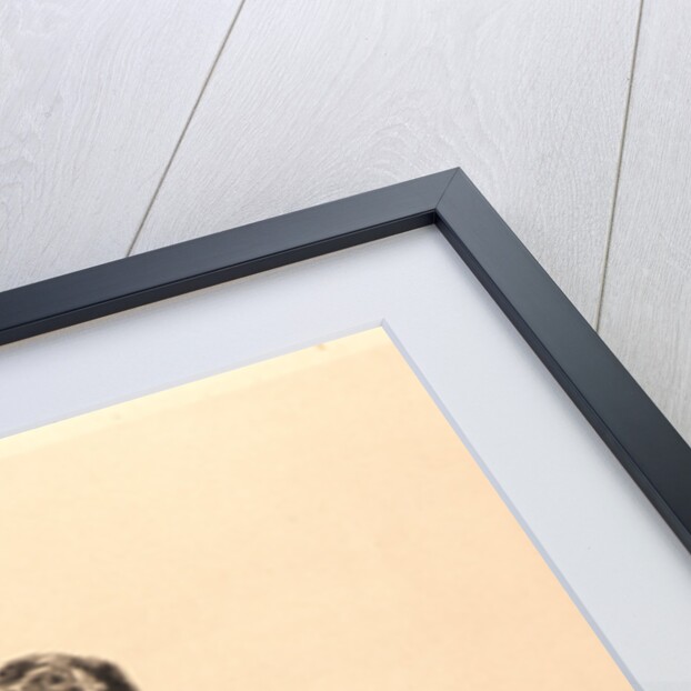 Pheasants, Rooster, and Hen (Faisons, Coq, et Poule), 1898 by Félix Bracquemond