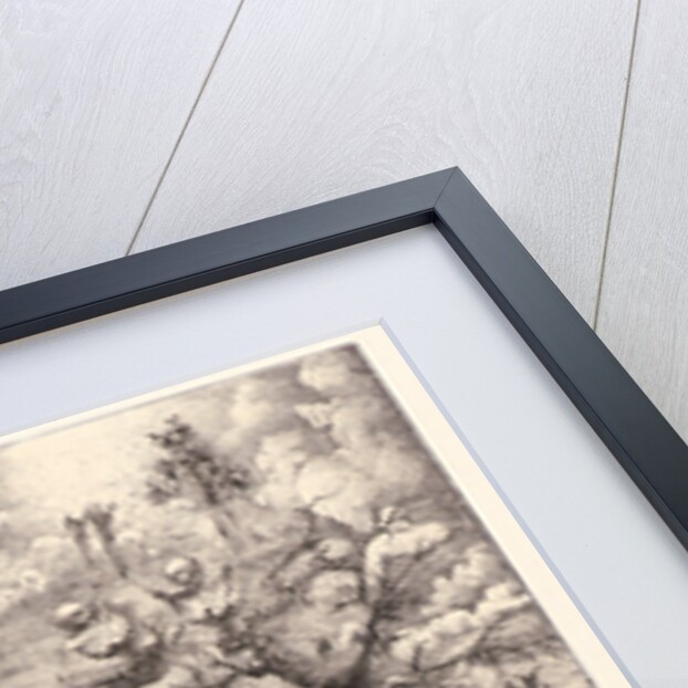 Comedy of Death (Comédie de la Mort), 1854 by Rodolphe Bresdin