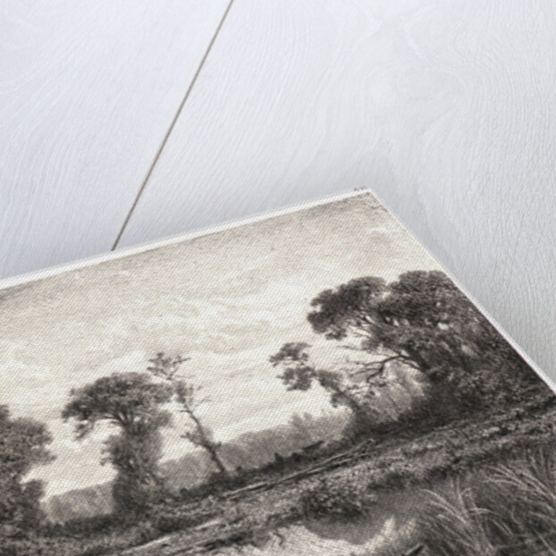 Le Bord de l'Etang, 19th century by Adolphe Appian